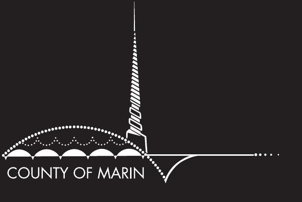 Primary Logo Reversed preview