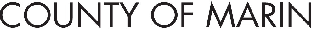 Primary Logotype preview
