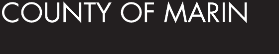 Primary Logotype Reversed preview