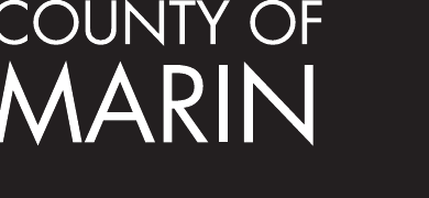 Secondary Logotype Reversed preview
